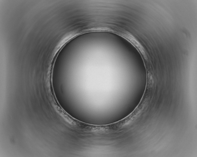 X0000112061002200908181154