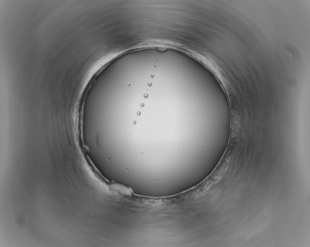 X0000112061003200908181154