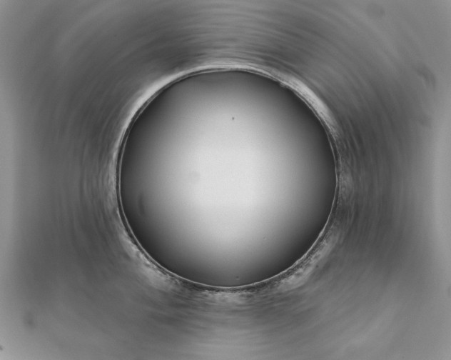 X0000112061004200908181154