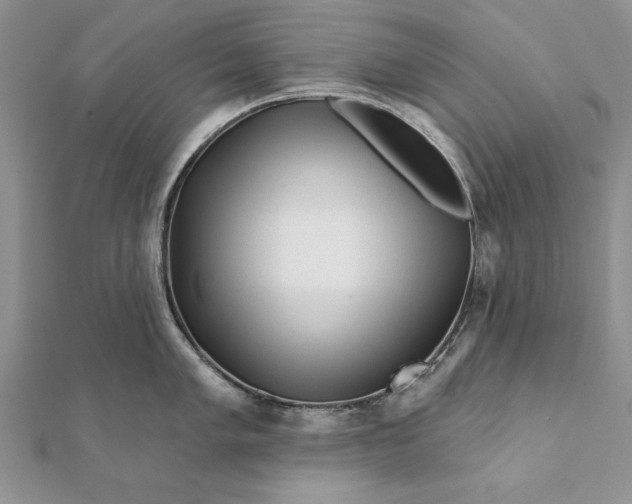 X0000112061005200908181154