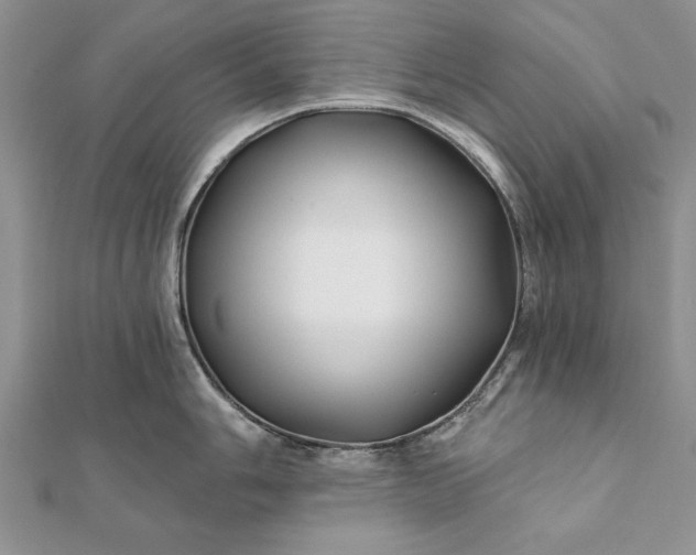 X0000112061006200908181154