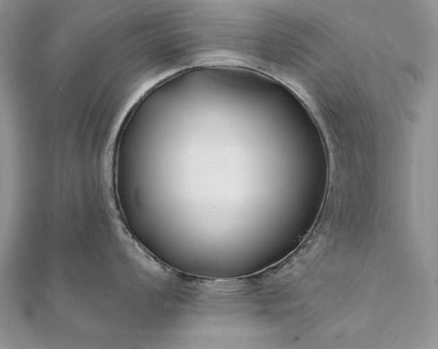 X0000112061008200908181154