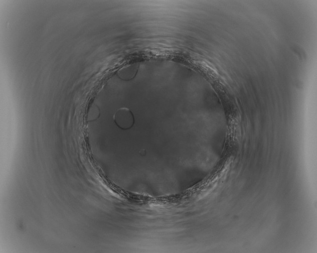 X0000112061009200908181153