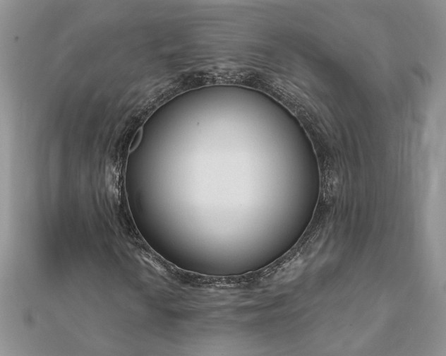 X0000112061010200908181153