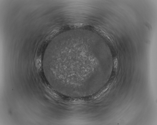 X0000112061011200908181153