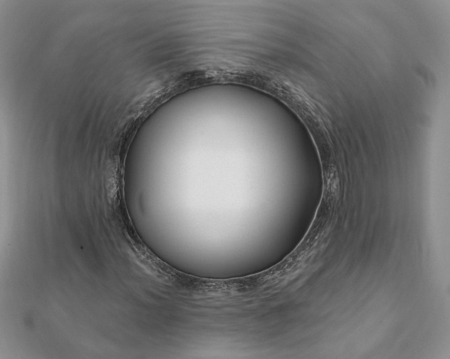 X0000112061012200908181153