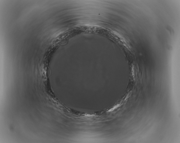 X0000112061013200908181153