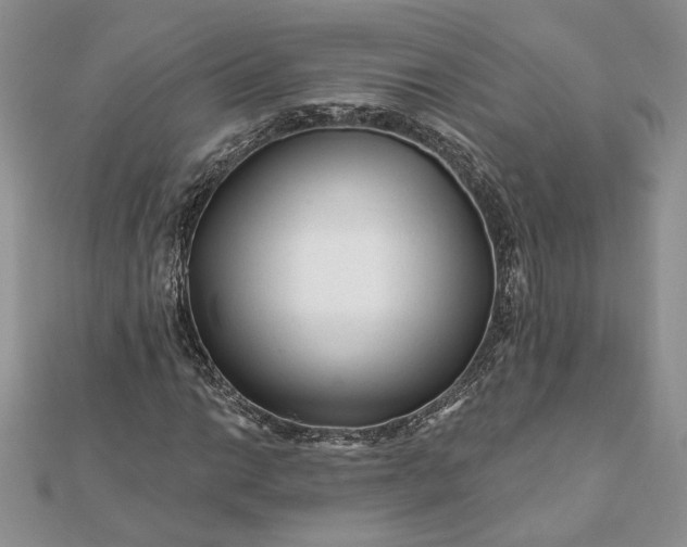 X0000112061014200908181153