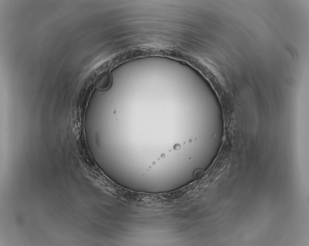 X0000112061015200908181153