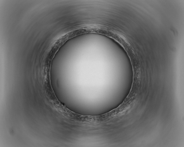 X0000112061016200908181153