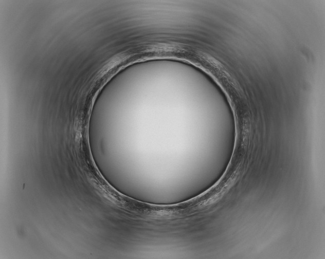 X0000112061017200908181153