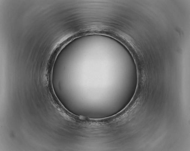 X0000112061018200908181153