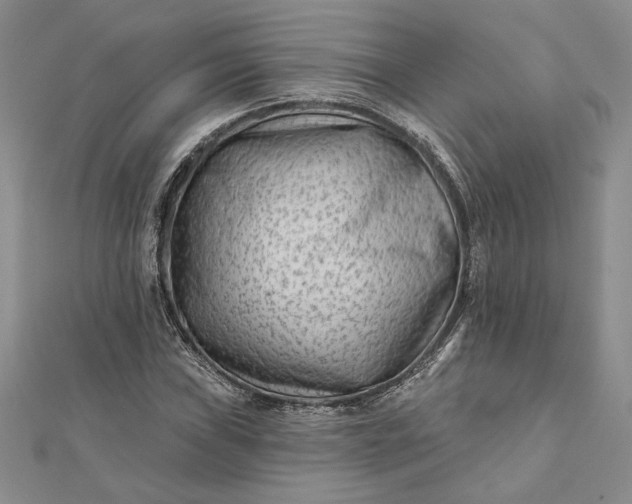 X0000112061019200908181153