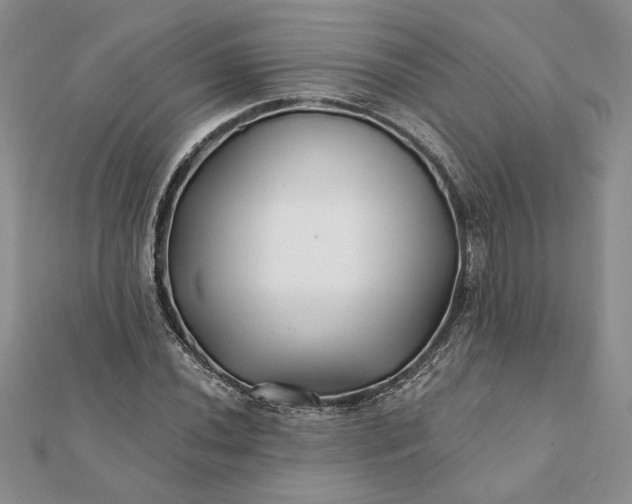 X0000112061020200908181153