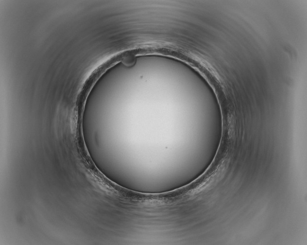 X0000112061021200908181153