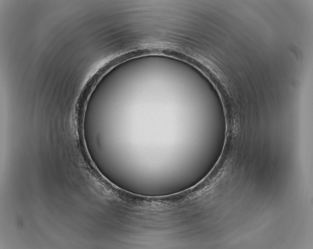 X0000112061022200908181153