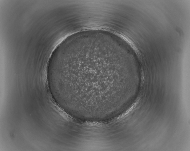 X0000112061023200908181153