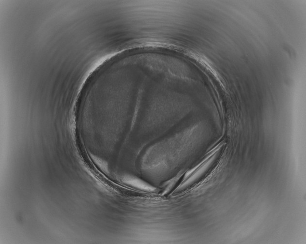 X0000112061024200908181153