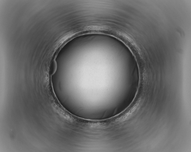 X0000112061025200908181153