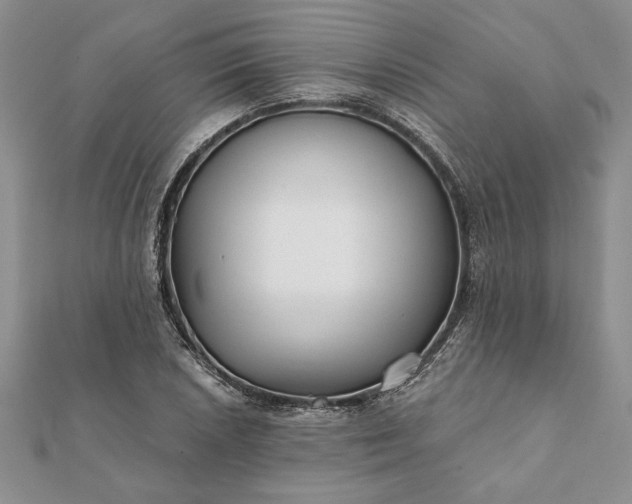 X0000112061026200908181153