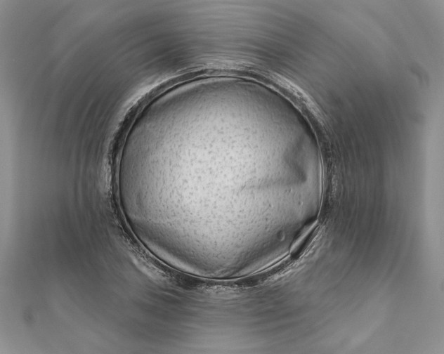 X0000112061027200908181153