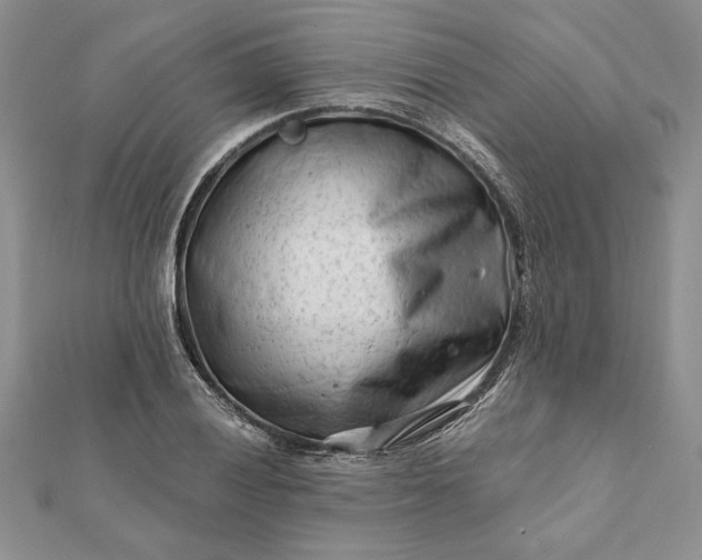 X0000112061028200908181153