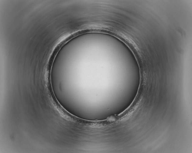 X0000112061029200908181153