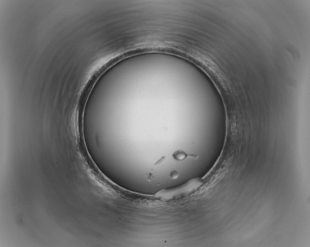 X0000112061030200908181153