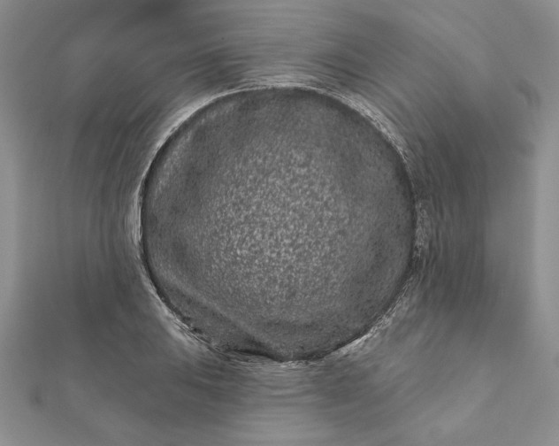 X0000112061031200908181153