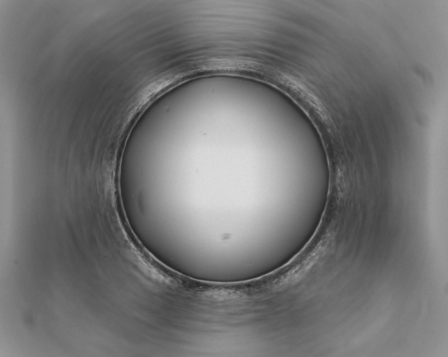 X0000112061033200908181153