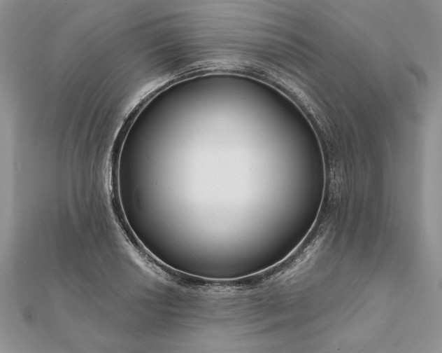 X0000112061034200908181153