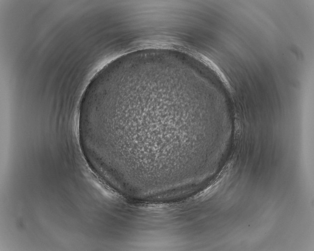 X0000112061035200908181153