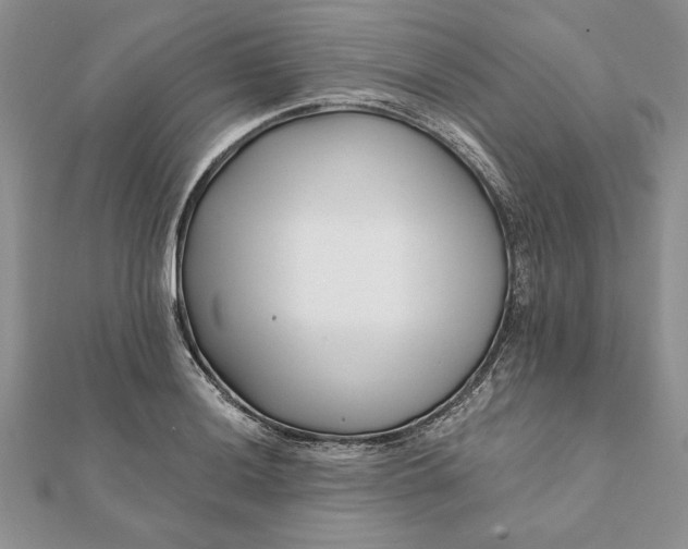 X0000112061036200908181153