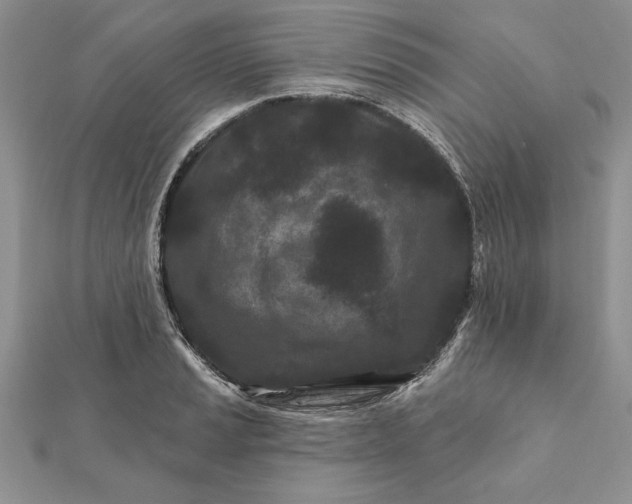 X0000112061037200908181153