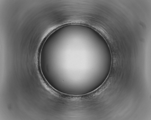 X0000112061038200908181153