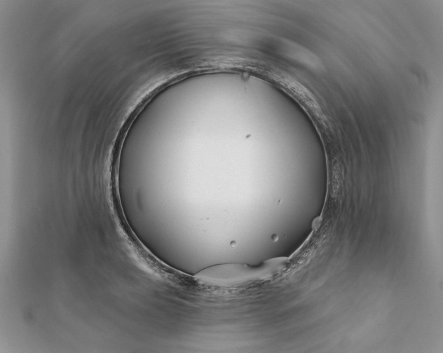 X0000112061039200908181153