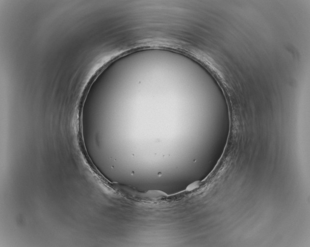 X0000112061040200908181153