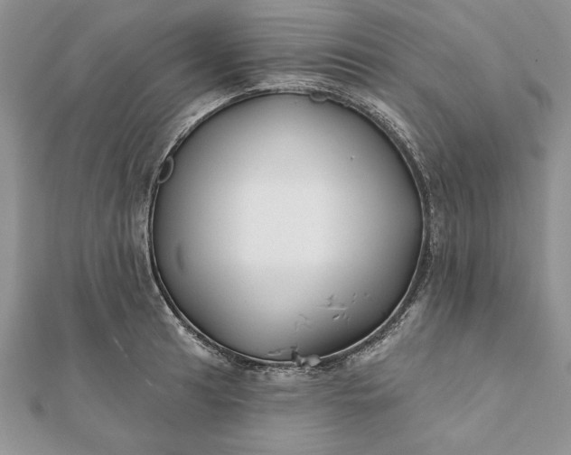 X0000112061041200908181153