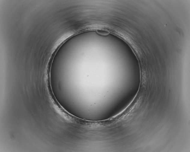 X0000112061042200908181153