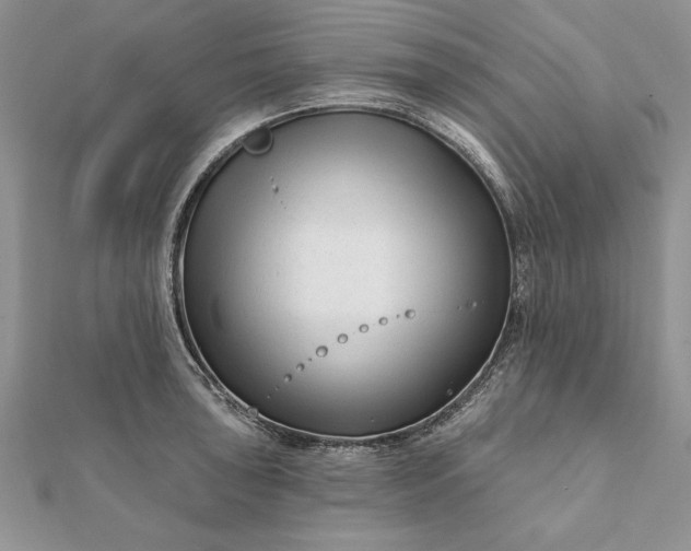 X0000112061043200908181153