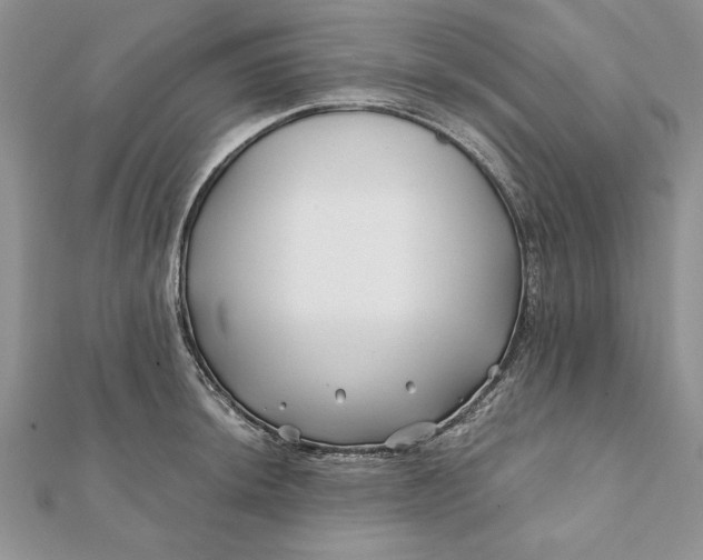 X0000112061044200908181153