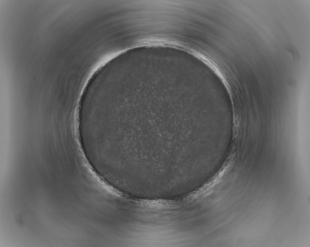 X0000112061045200908181153