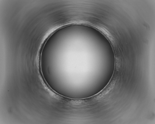 X0000112061046200908181153