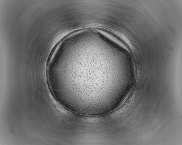 X0000112061047200908181153