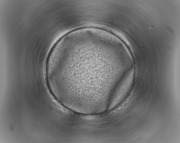 X0000112061048200908181153