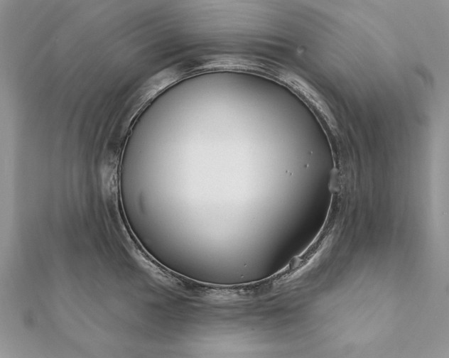 X0000112061049200908181153