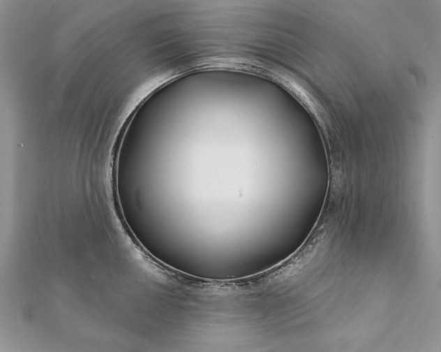 X0000112061050200908181153