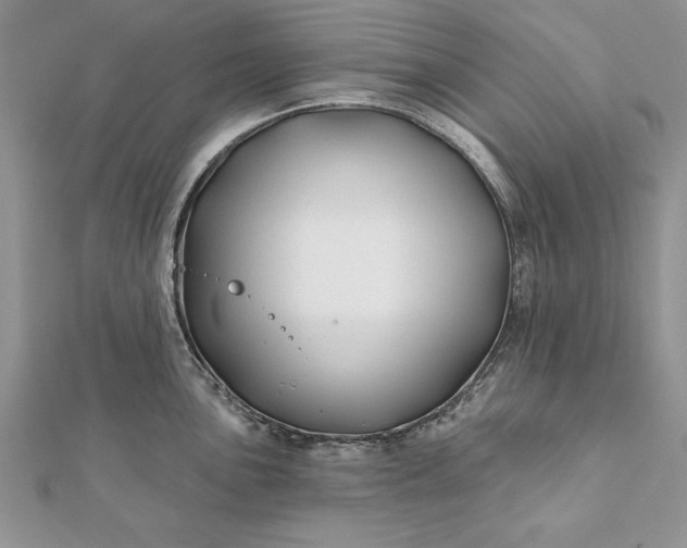 X0000112061051200908181153