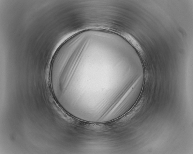 X0000112061052200908181153