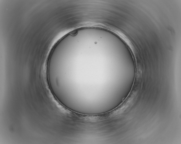 X0000112061053200908181153